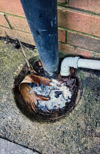 https://blockeddrainswoodlands.com.au/uploads/2025/07/blocked-drains-90695.jpg