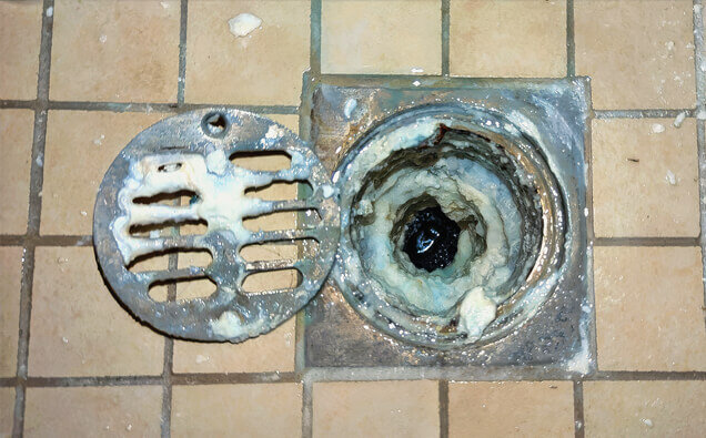https://blockeddrainswoodlands.com.au/uploads/2025/07/blocked-shower-drains-33151.jpg