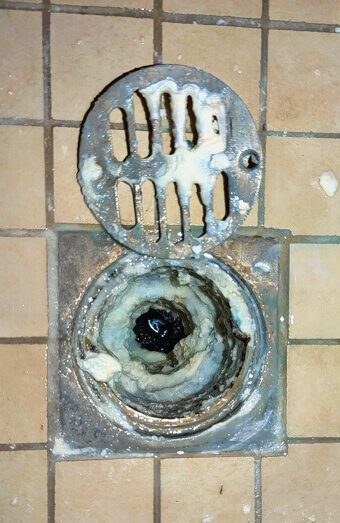 https://blockeddrainswoodlands.com.au/uploads/2025/07/blocked-shower-drains-86331.jpg