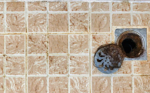 https://blockeddrainswoodlands.com.au/uploads/2025/07/blocked-shower-drains-91576.jpg