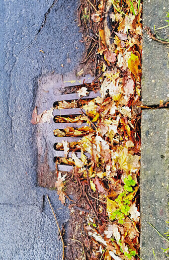 https://blockeddrainswoodlands.com.au/uploads/2025/07/stormwater-drains-48051.jpg
